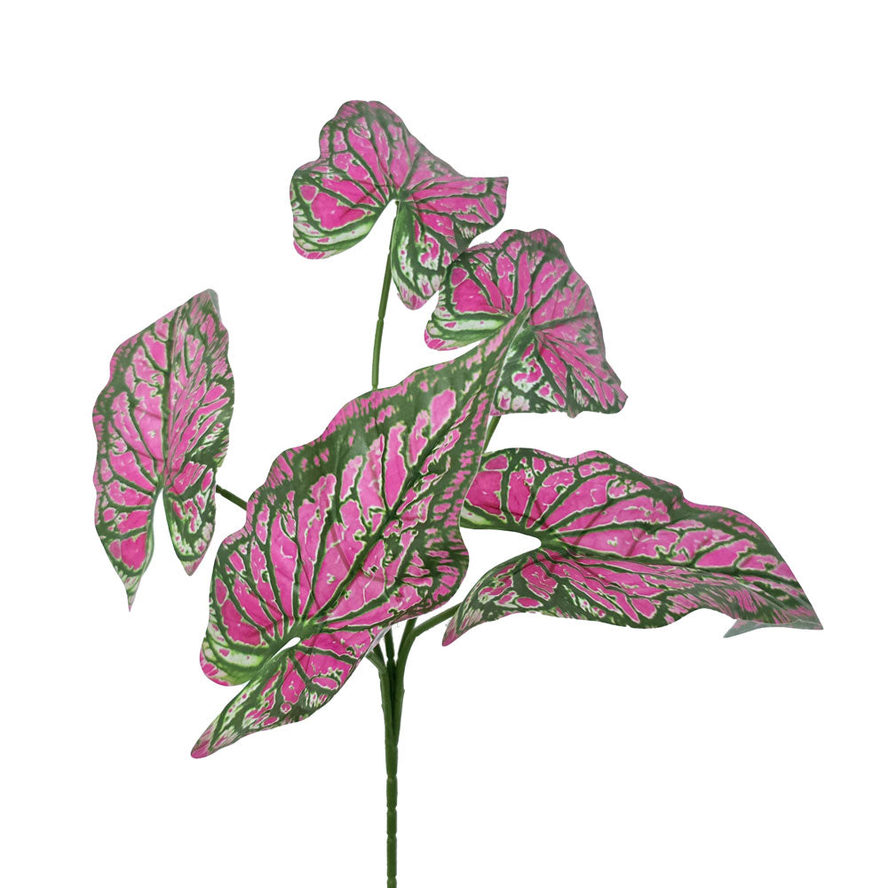 Faux Caladium Leaves #FFO119