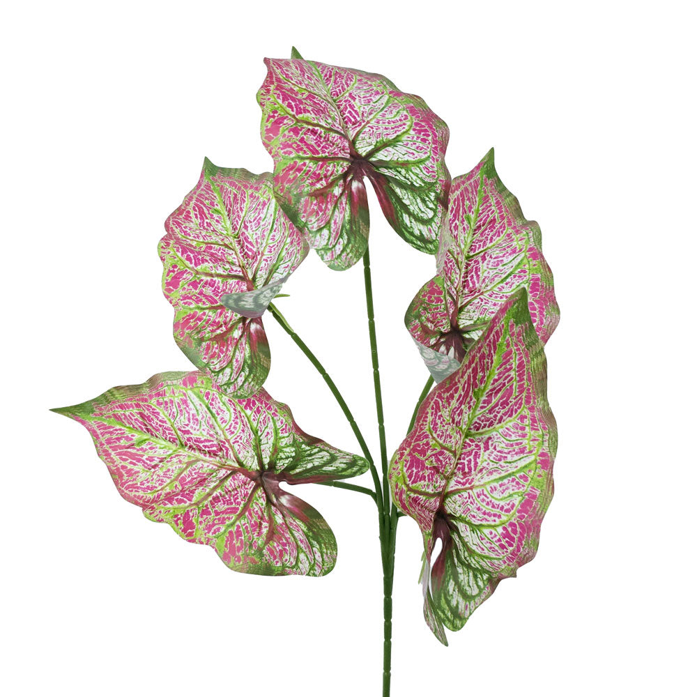 Faux Caladium Leaves #FFO122