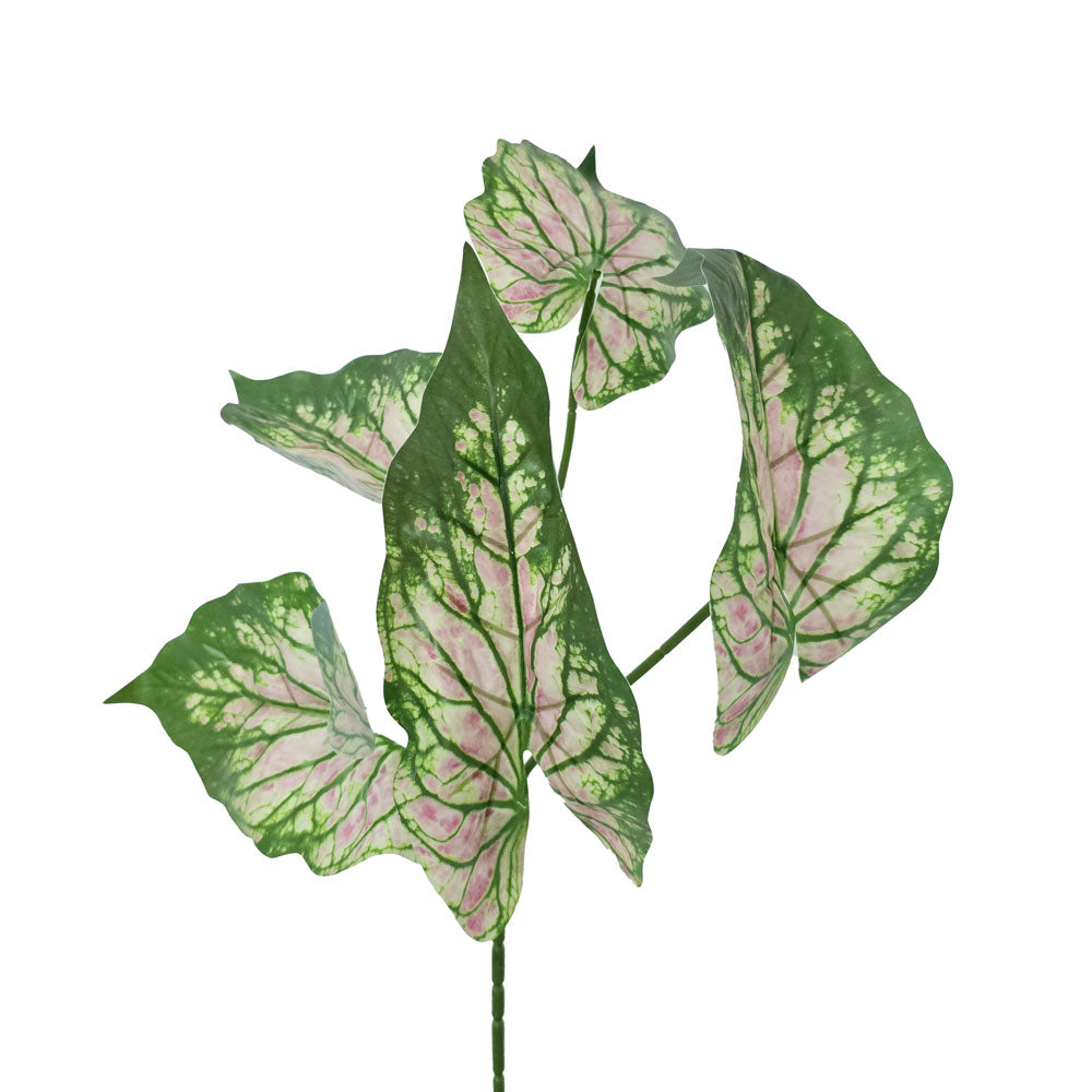 Faux Caladium Leaves #FFO123