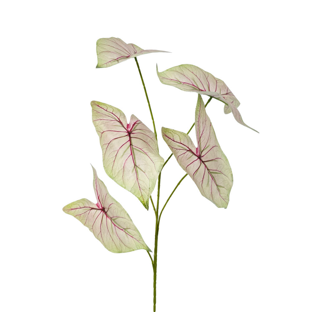 Faux Caladium Leaves #FFO124