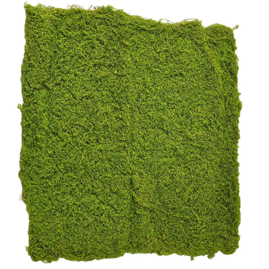 Faux Moss Carpet #FFO178