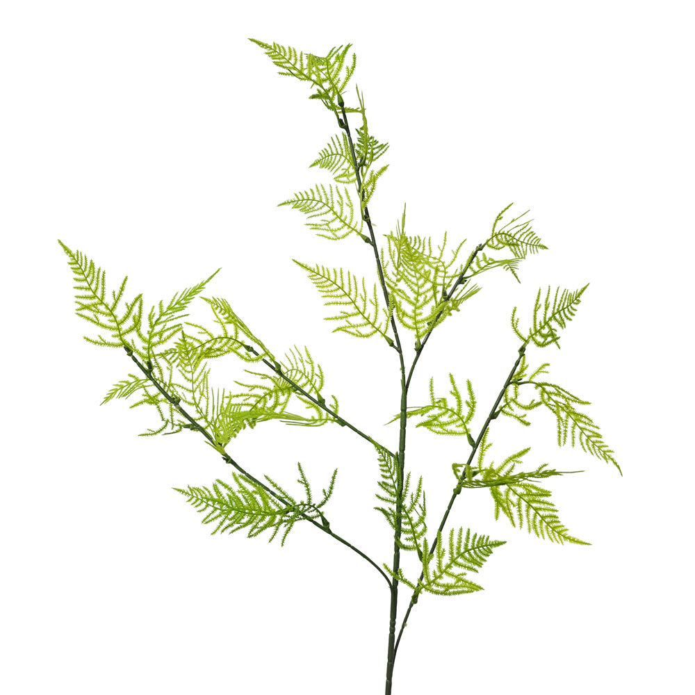 Faux Wedding Fern #FFO191