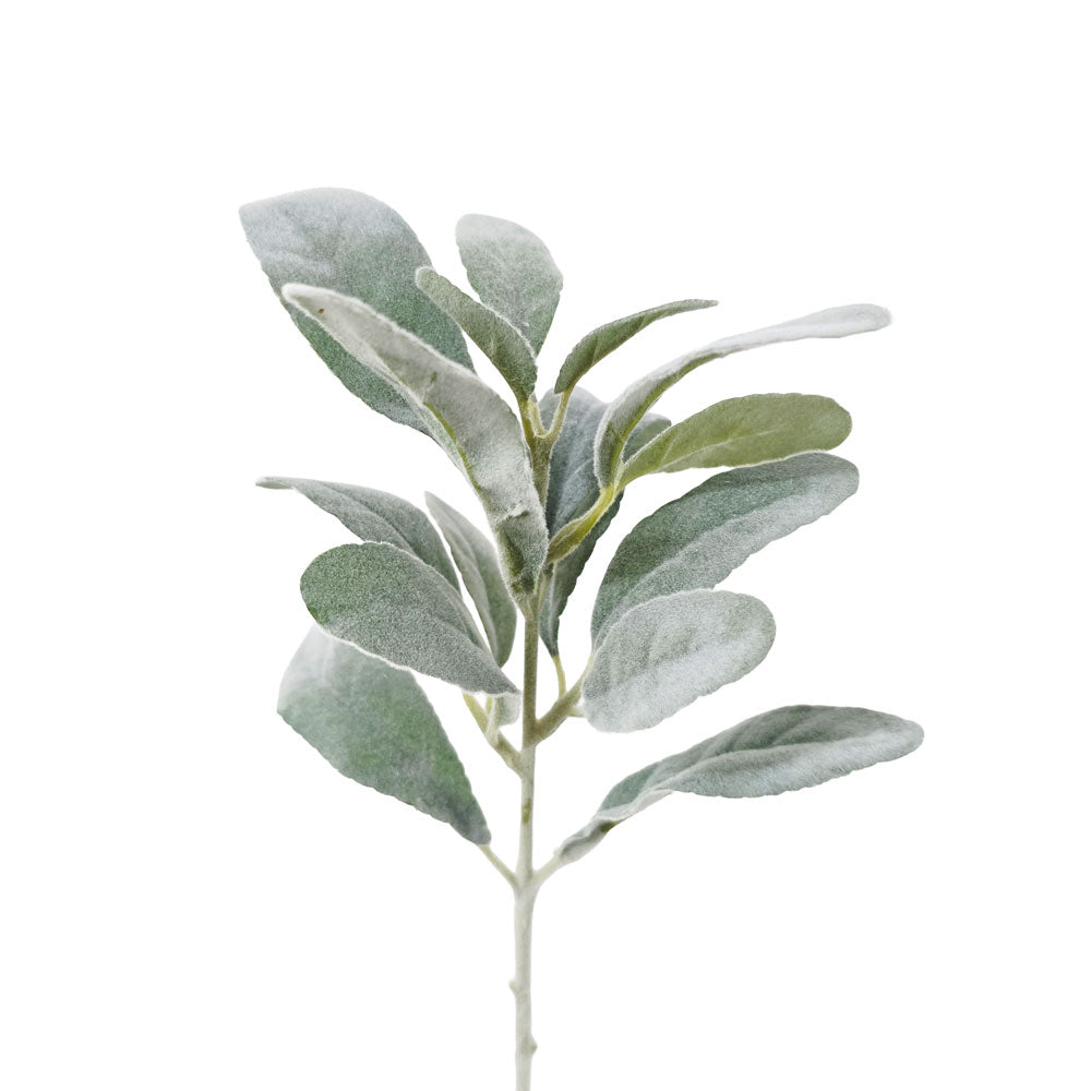 Faux Dusty Miller #FFO193