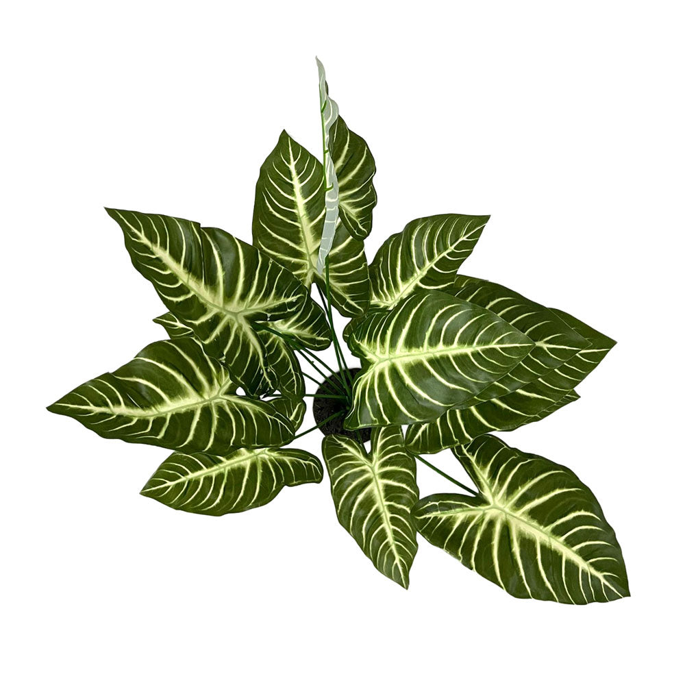 Faux Caladium Leaves #FFO203