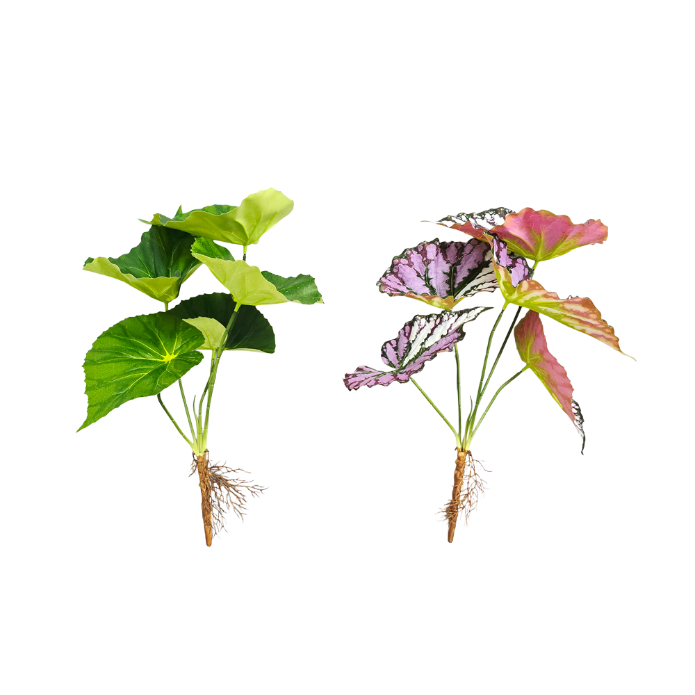 Faux Real-touch Begonia Leaves #FFO205