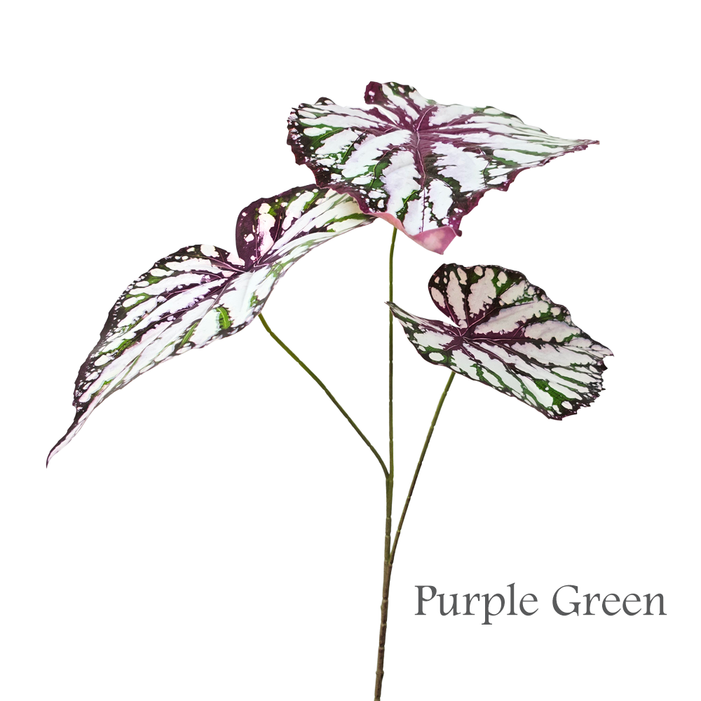 Faux Real-touch Begonia Leaves #FFO206