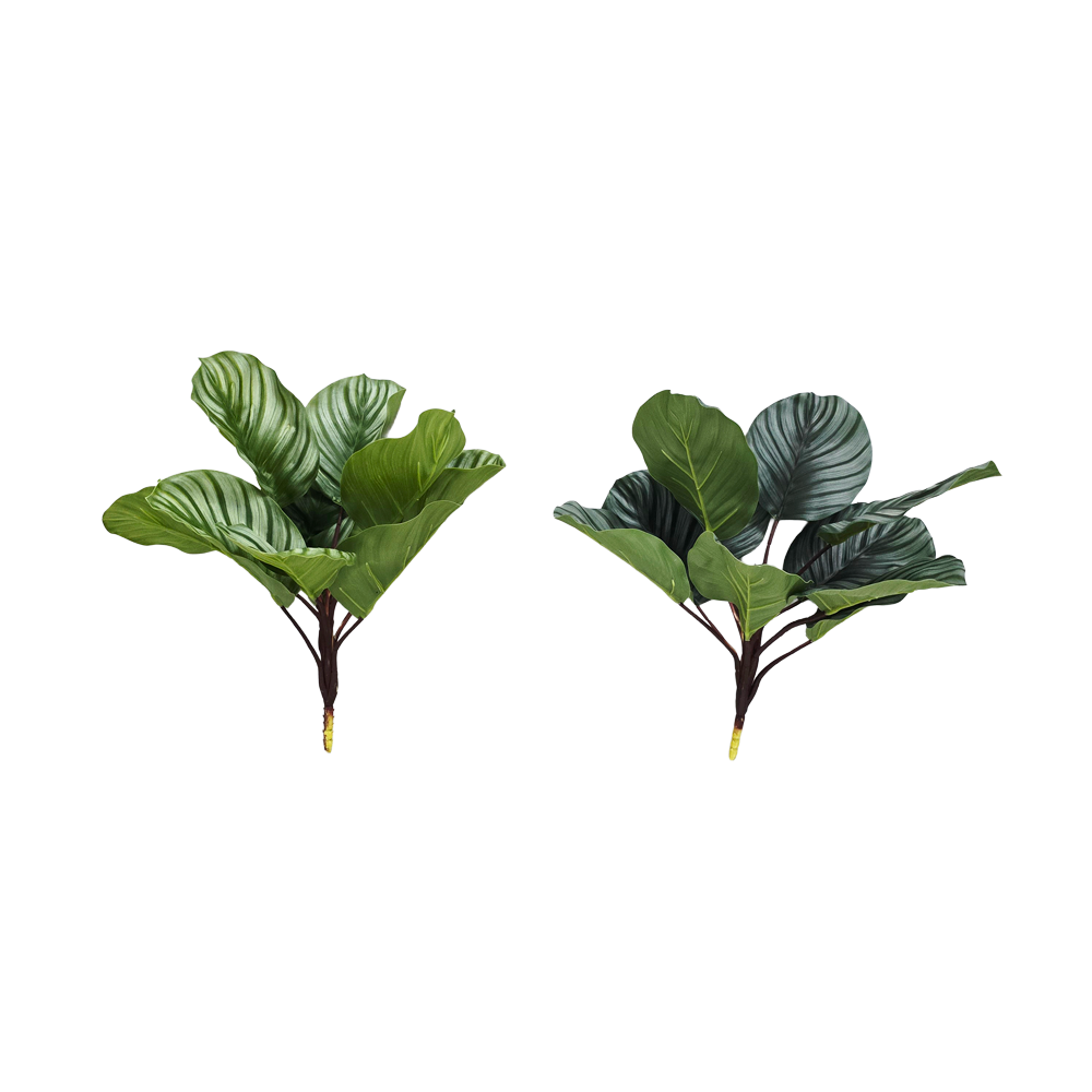 Faux Calathea #FFO215