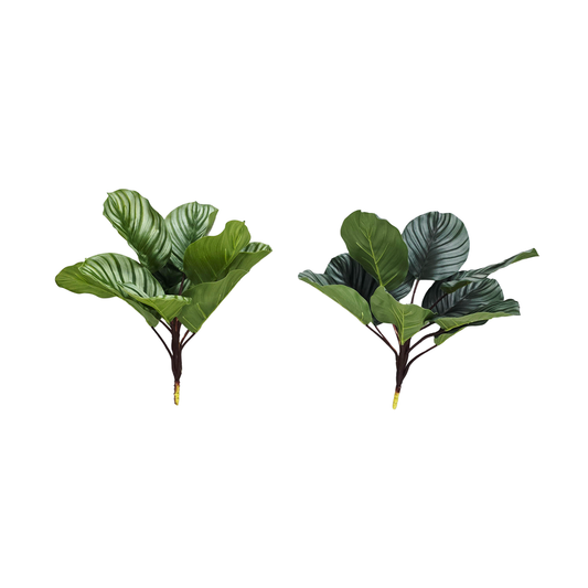 Faux Calathea #FFO215