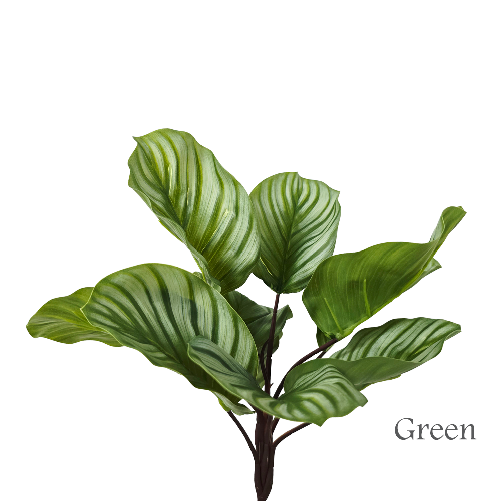 Faux Calathea #FFO215