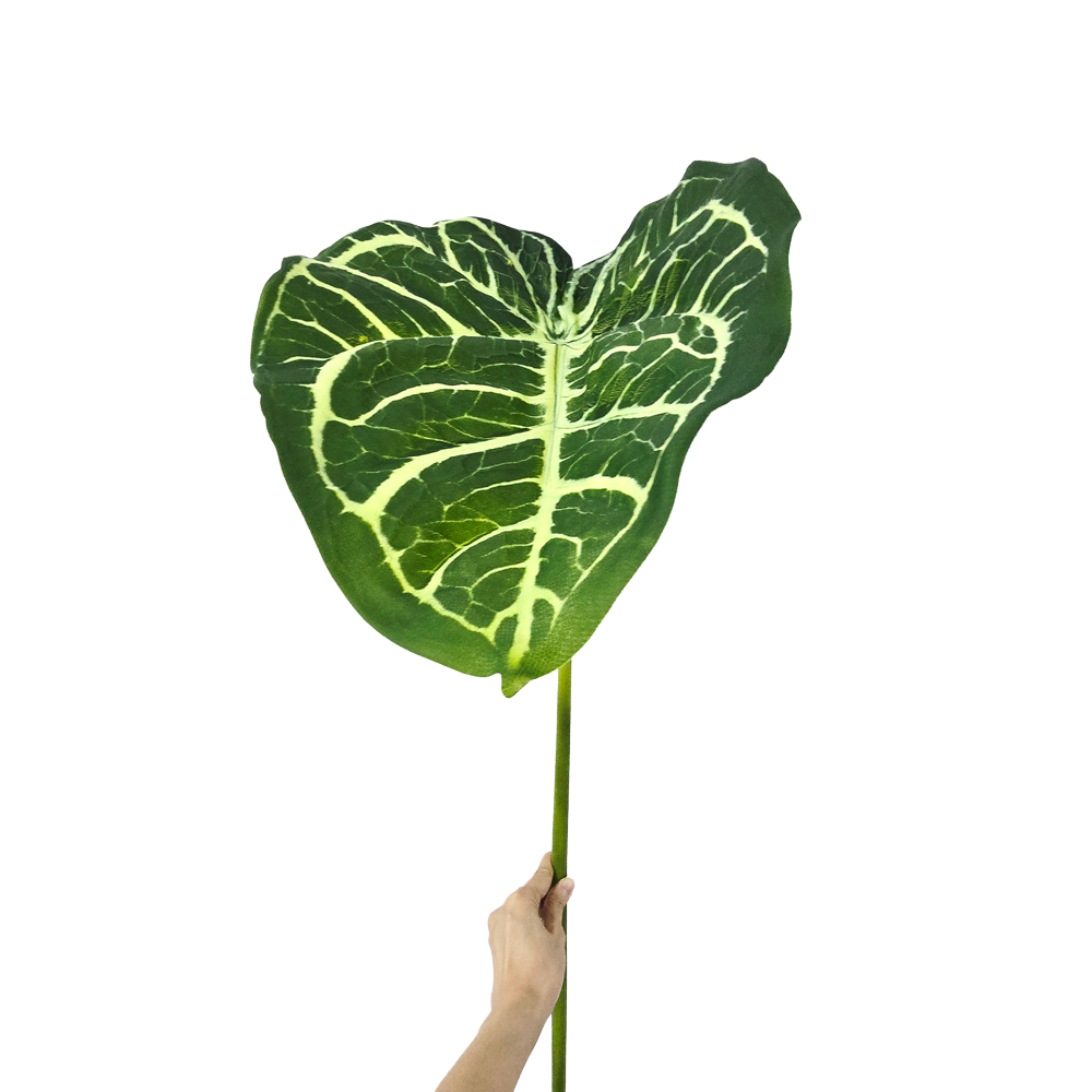Faux Anthurium Leaf #FFO216
