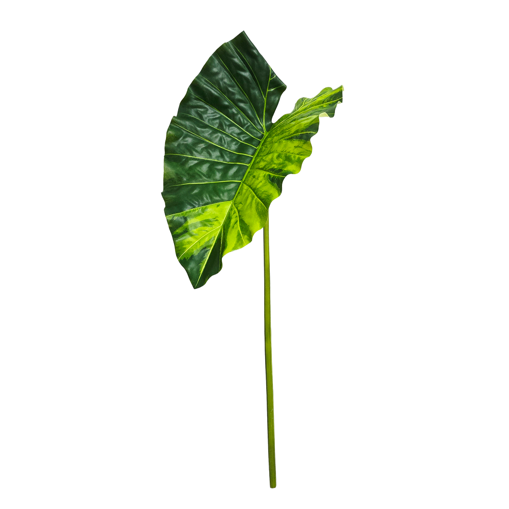 Faux Variegated Alocasia #FFO218