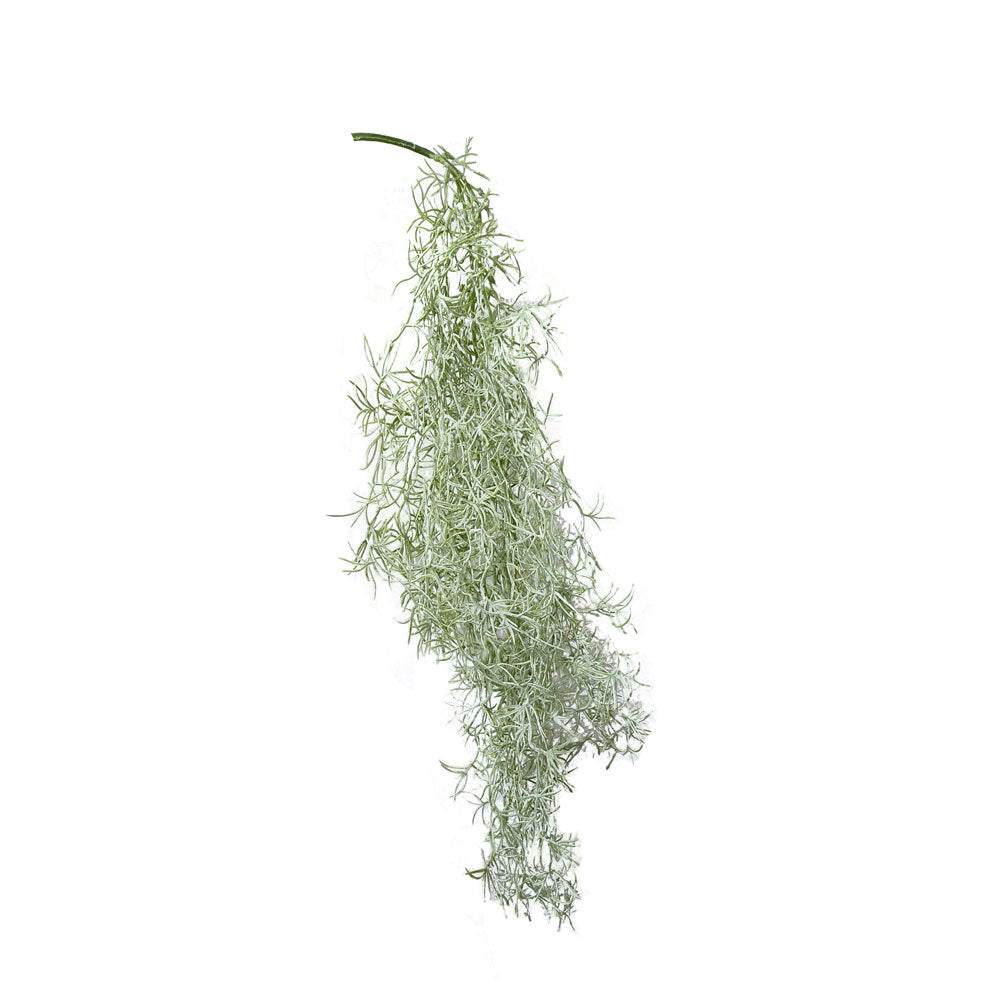 Faux Air Plant #FFO92