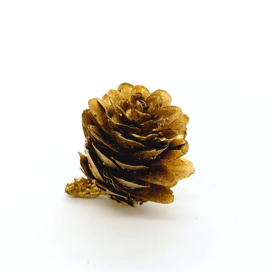 Small Dried Pine Cone (Gold)