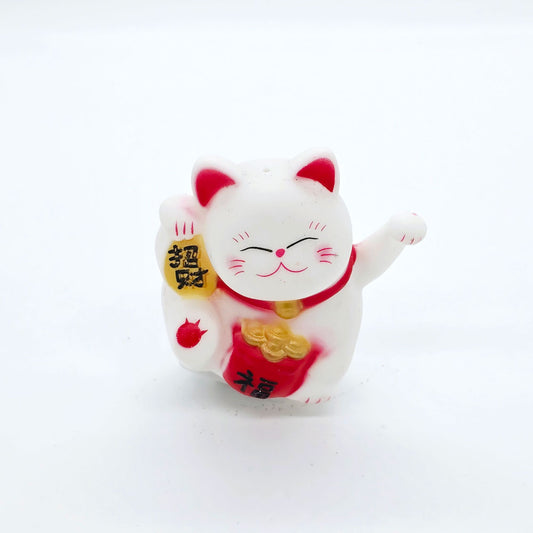 Money Cate Display with Light