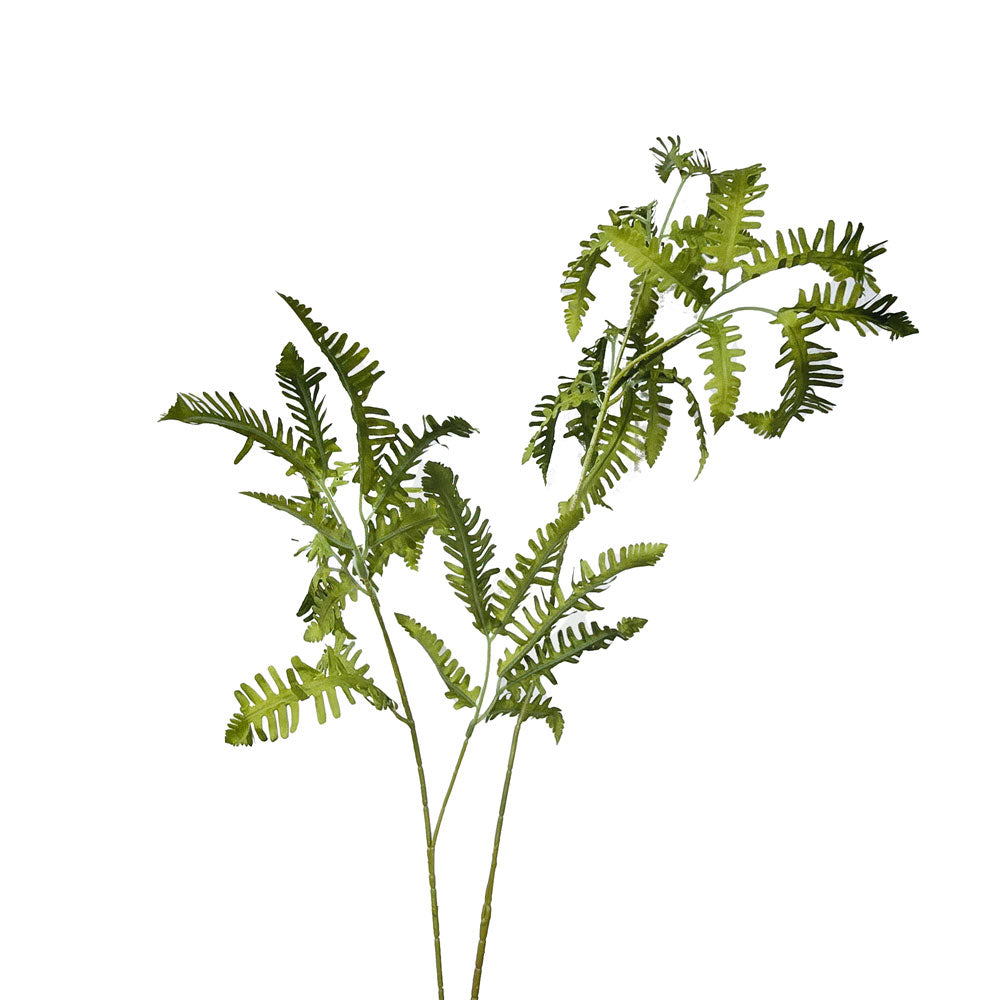 Faux Fern #FFO53