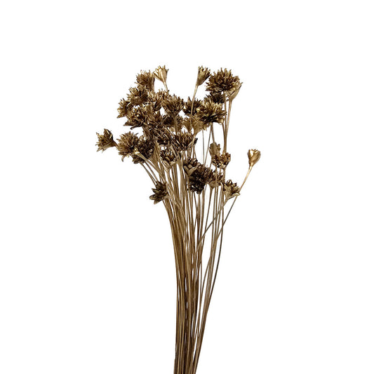 Golden Dried Brazilian Hill Flower #G27