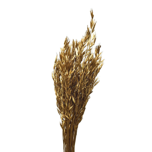 Golden Dried Tear Drop Wheat #G25