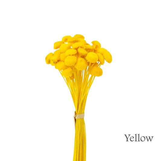 Handmade Flower #HF35