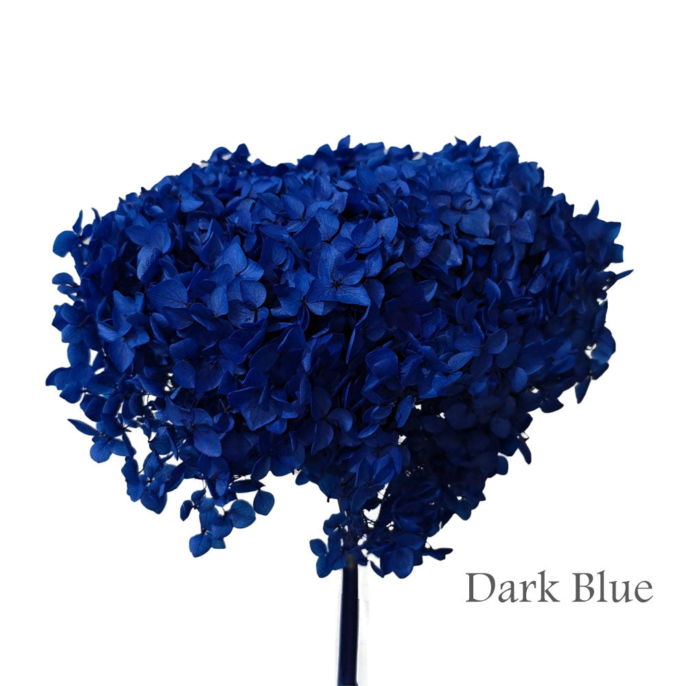 Preserved Hydrangea #PF1 - Dark Blue