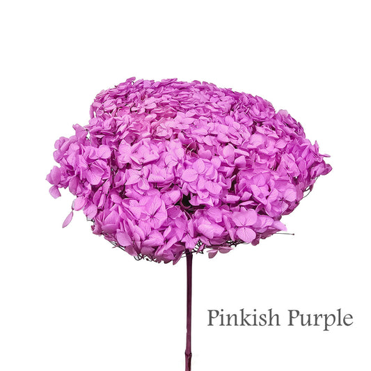 Preserved Hydrangea #PF1 - Pinkish Purple