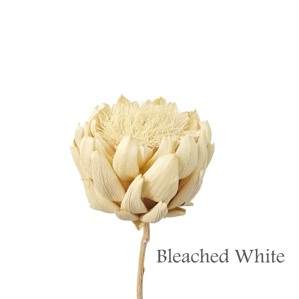 Preserved Artichoke Flowers #PF15