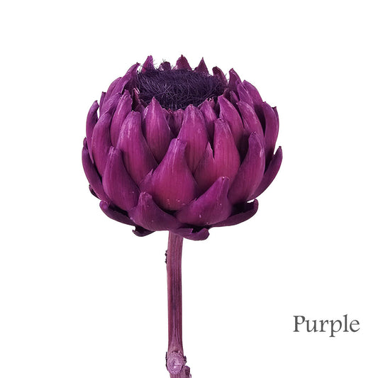 Preserved Artichoke Flowers #PF15