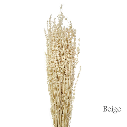 Preserved Lavender #PF17