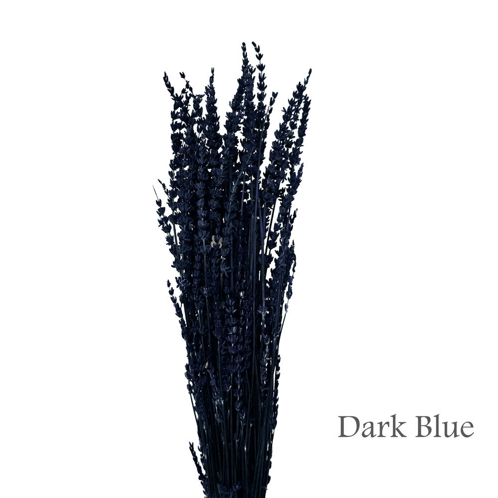 Preserved Lavender #PF17