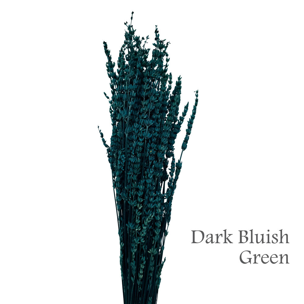 Preserved Lavender #PF17