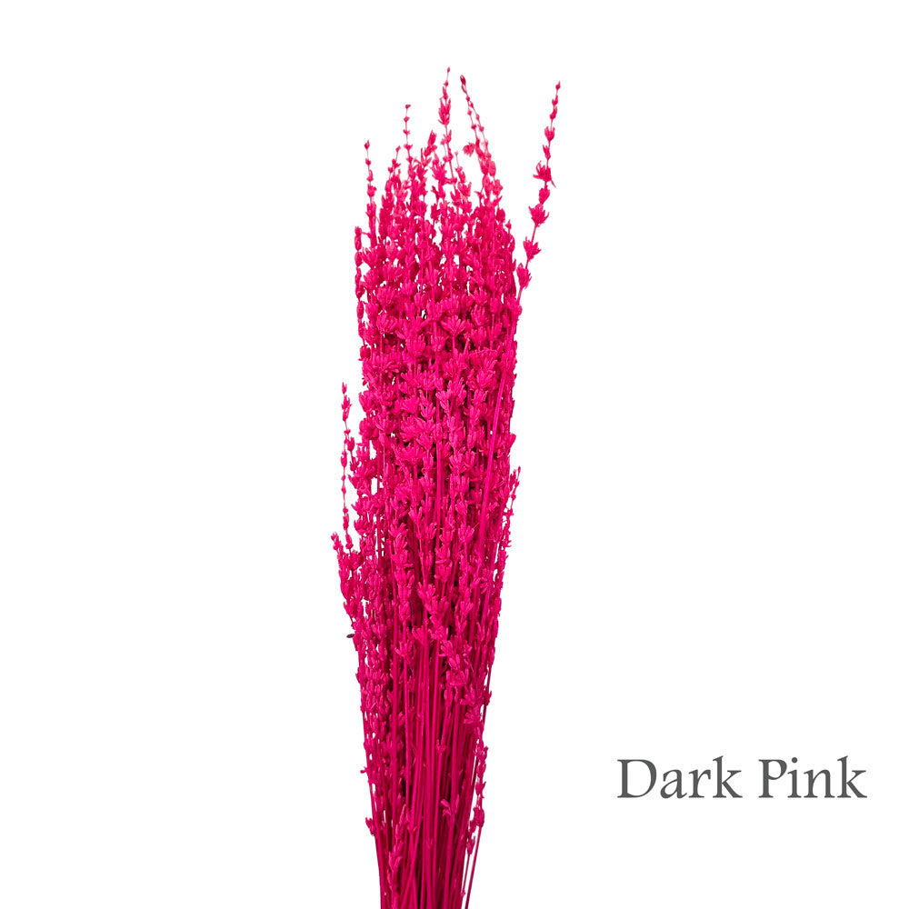 Preserved Lavender #PF17