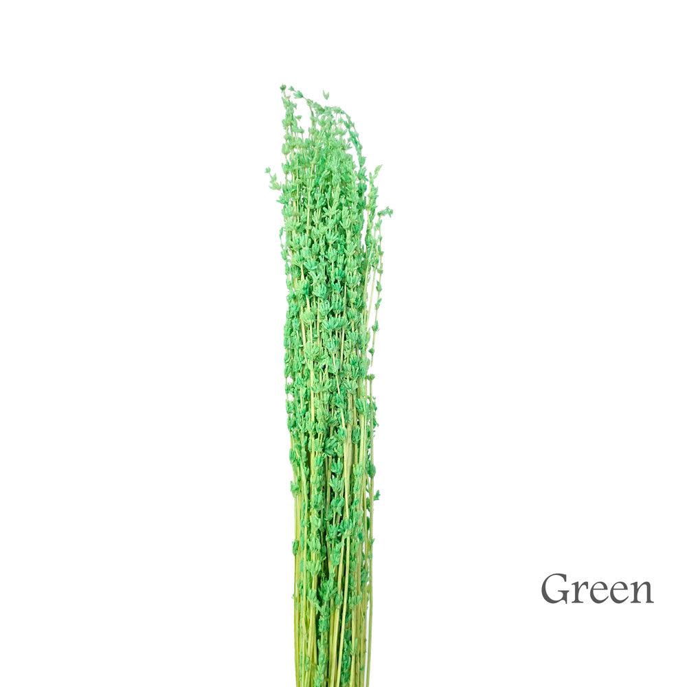 Preserved Lavender #PF17