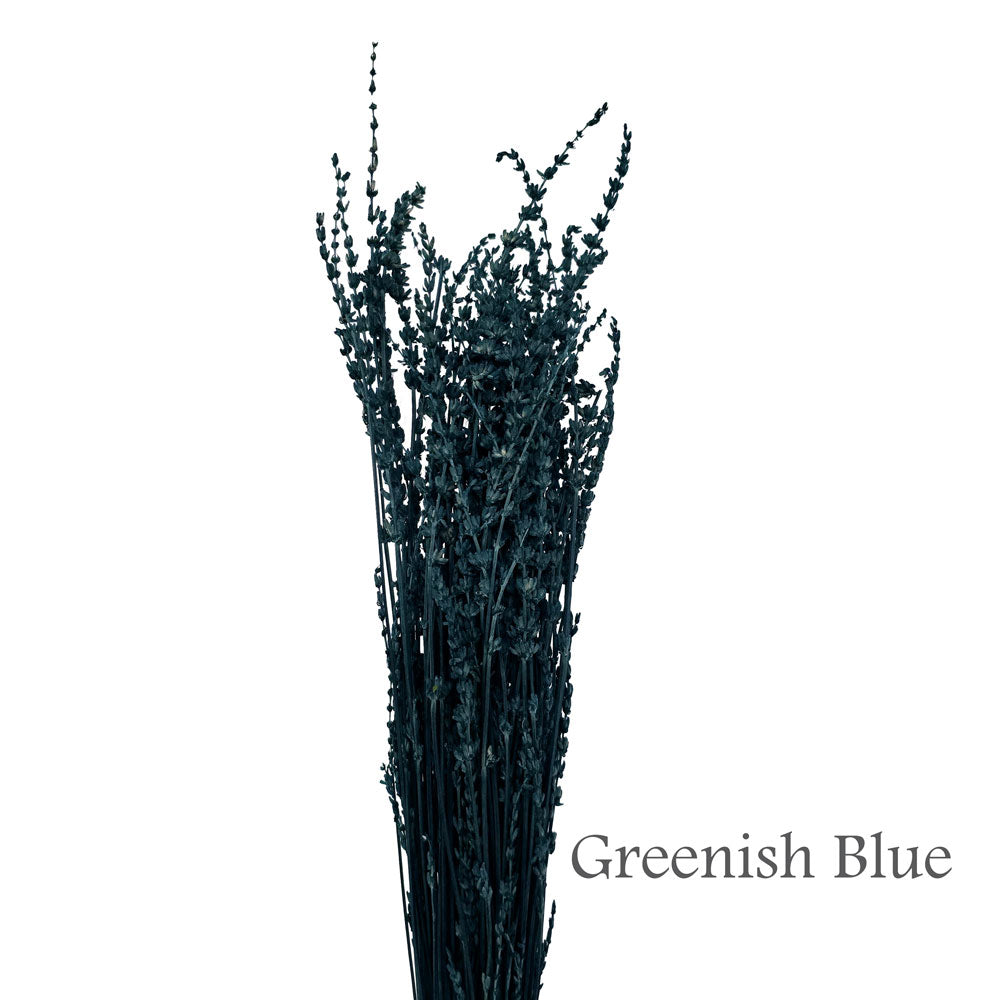 Preserved Lavender #PF17