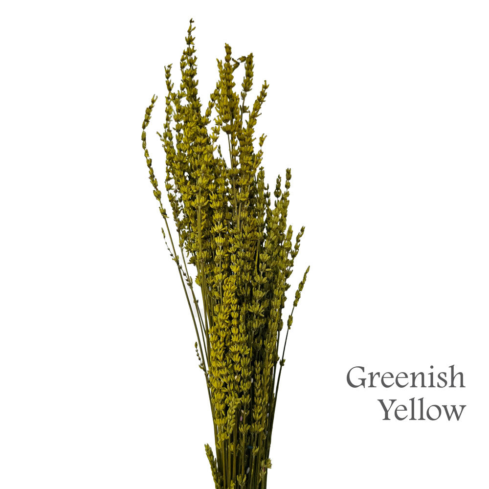 Preserved Lavender #PF17