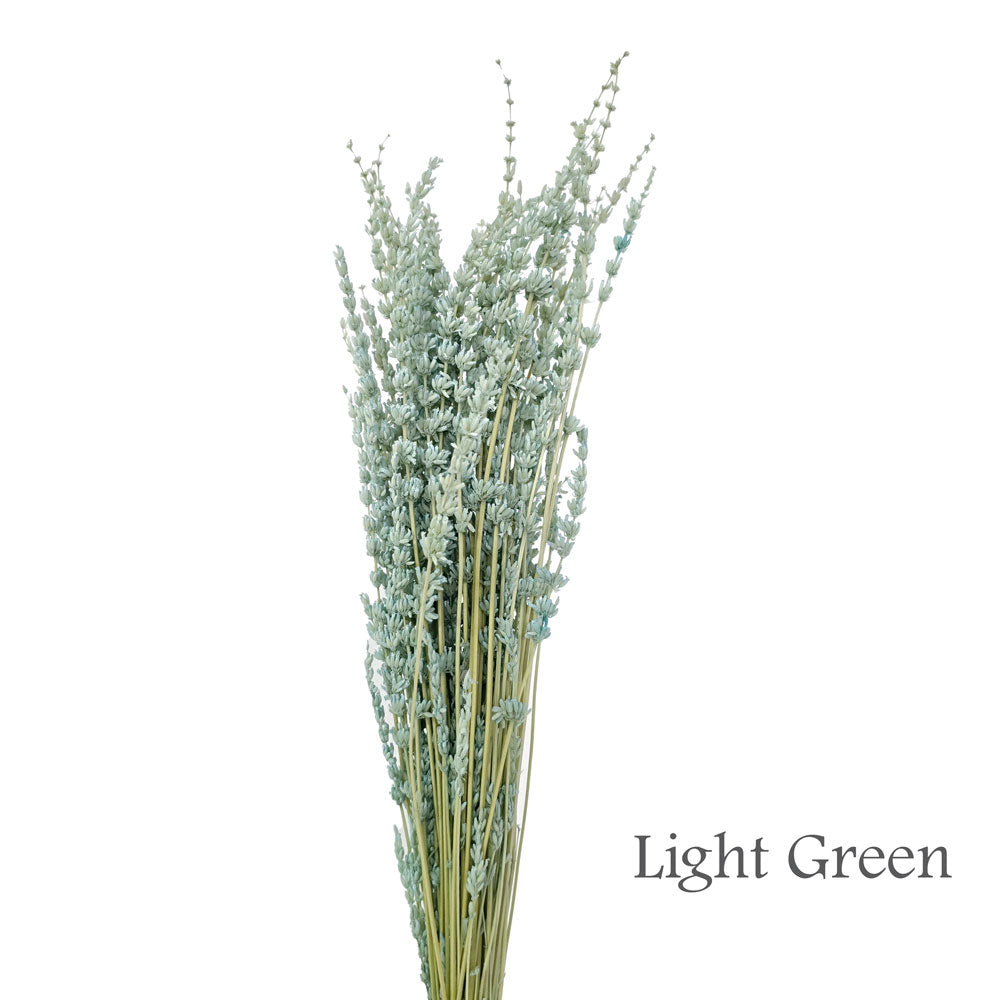 Preserved Lavender #PF17