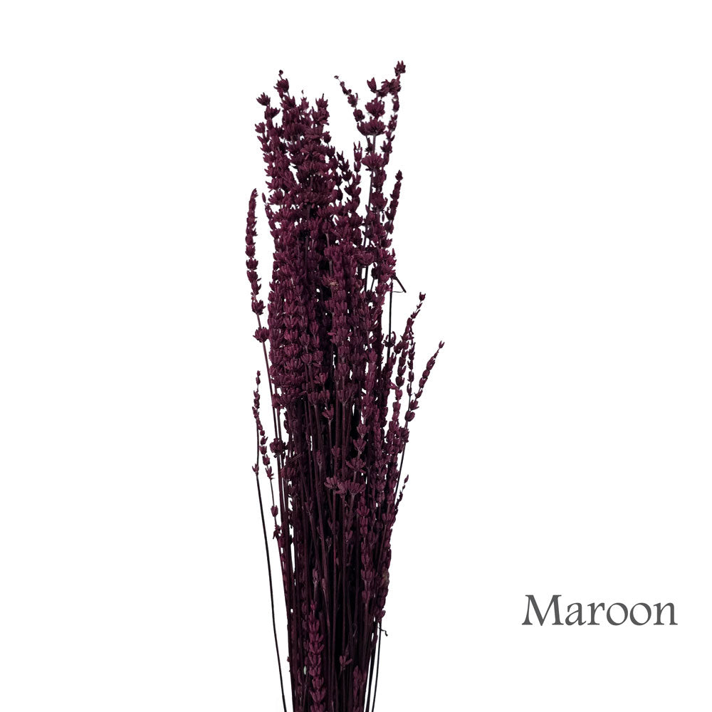 Preserved Lavender #PF17