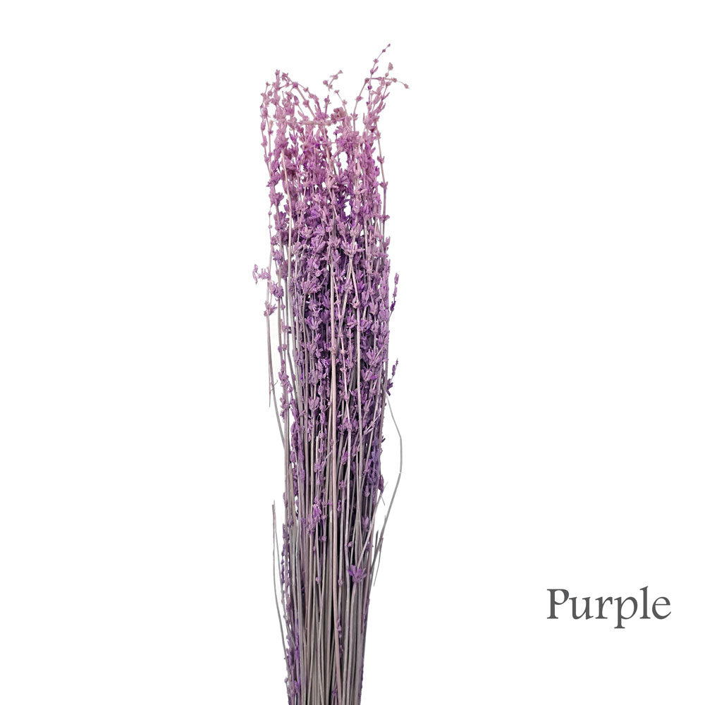 Preserved Lavender #PF17