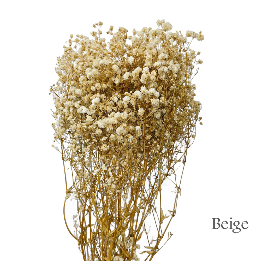 Preserved Baby Breath #PF4