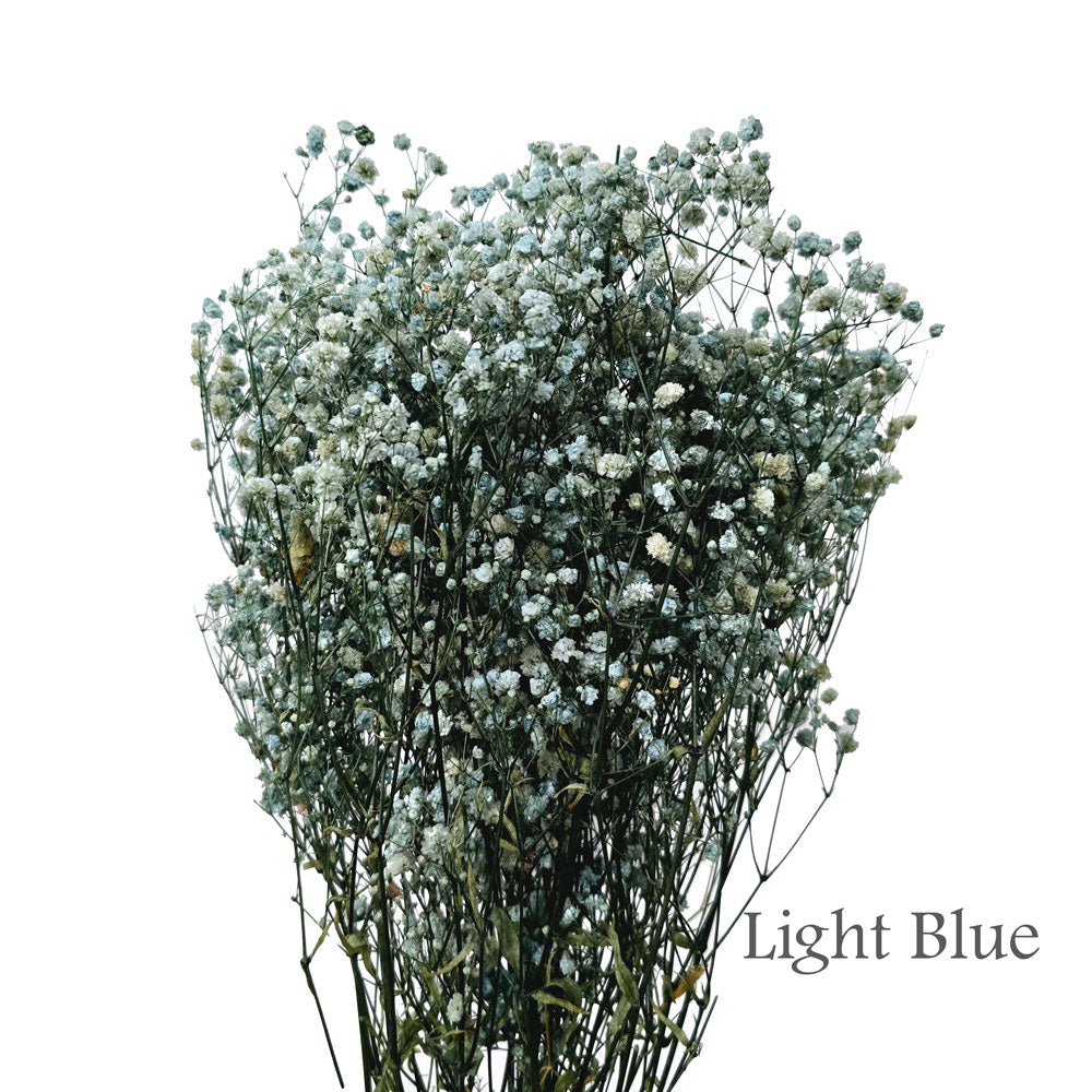 Preserved Baby Breath #PF4