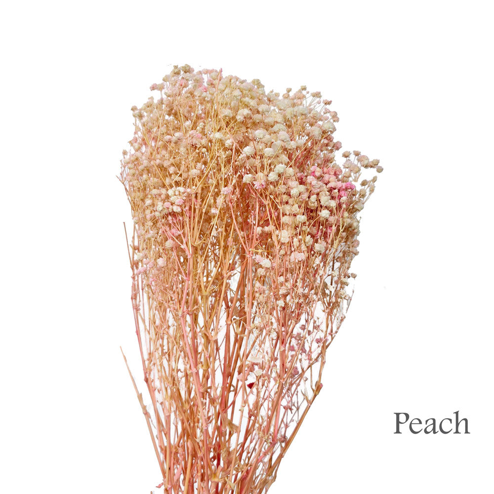 Preserved Baby Breath #PF4