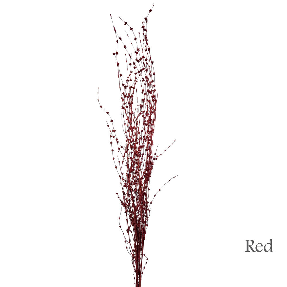 Preserved Bamboo Flower #PF9