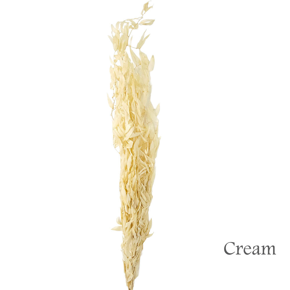 Preserved Ruscus Leaves #PFO21