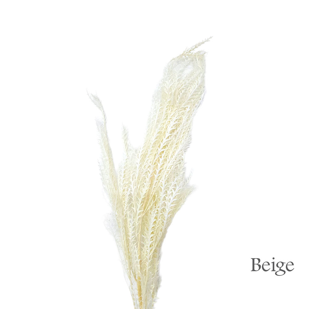 Preserved Fish Bone Leave #PFO34