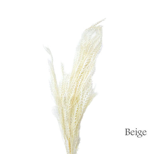 Preserved Fish Bone Leave #PFO34