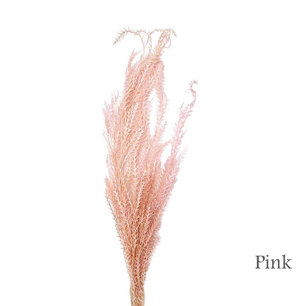 Preserved Fish Bone Leave #PFO34