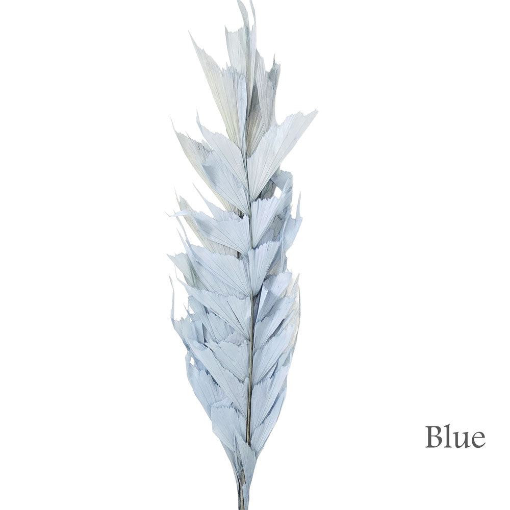 Preserved Fish Bone Palm #PFO55