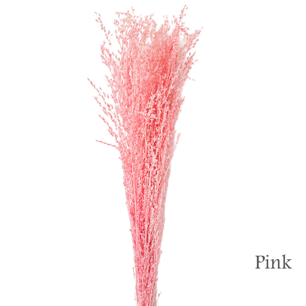 Preserved Foliage #PFO63