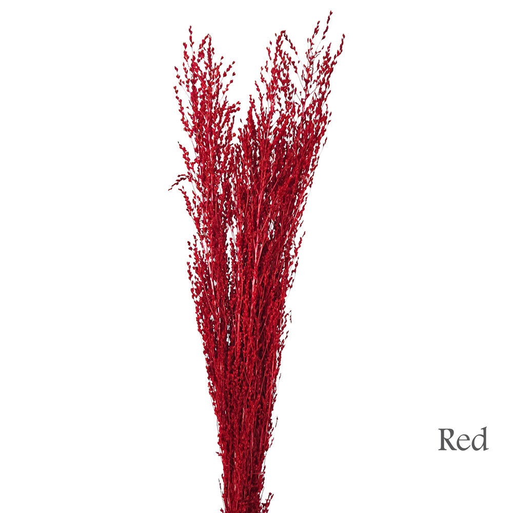 Preserved Foliage #PFO63