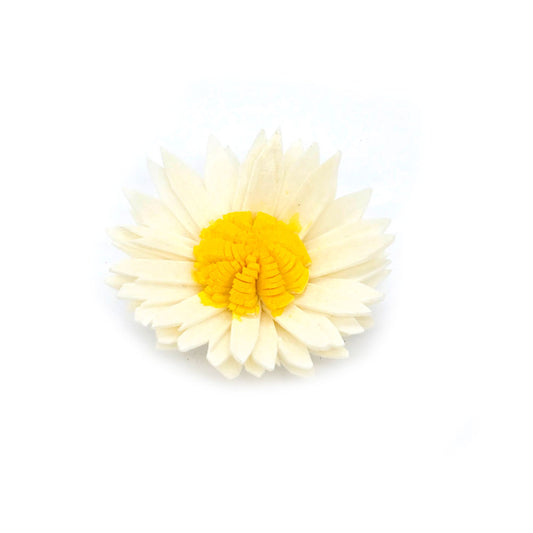 Sola Wood Daisy Flower #SF19