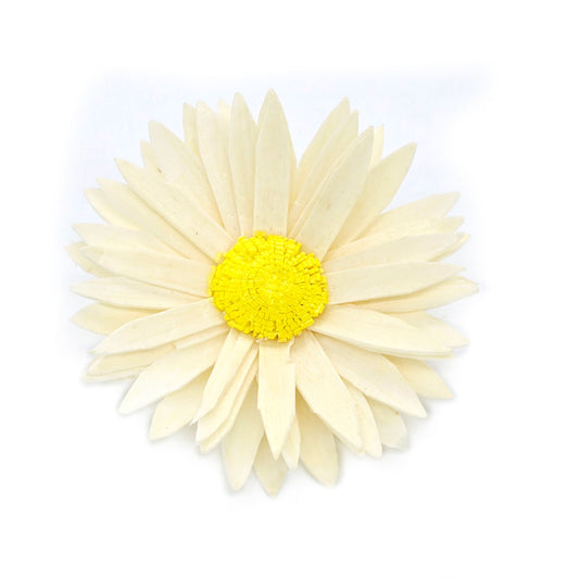 Sola Wood Daisy Flower #SF45