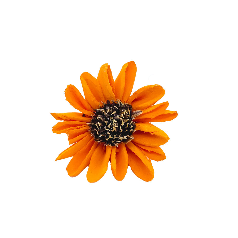 Sola Wood Daisy Flower #SF72 – Lee Flora Wholesale